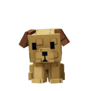 Age 20 Pet